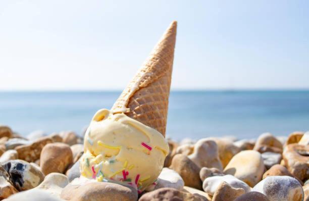 Dawlish Lawn View Daire Dış mekan fotoğraf